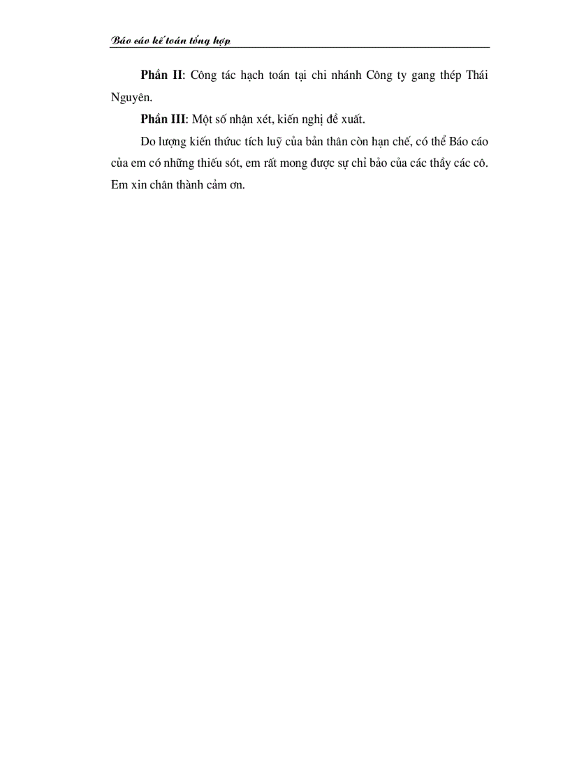 Báo cáo kế toán tổng hợp tại Chi nhánh Công ty gang thép Thái Nguyên