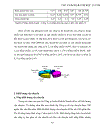 Thực trạng và giải pháp thúc đẩy hoạt động Logistics tại Công ty Cổ phần Thương mại và Liên vận quốc tế