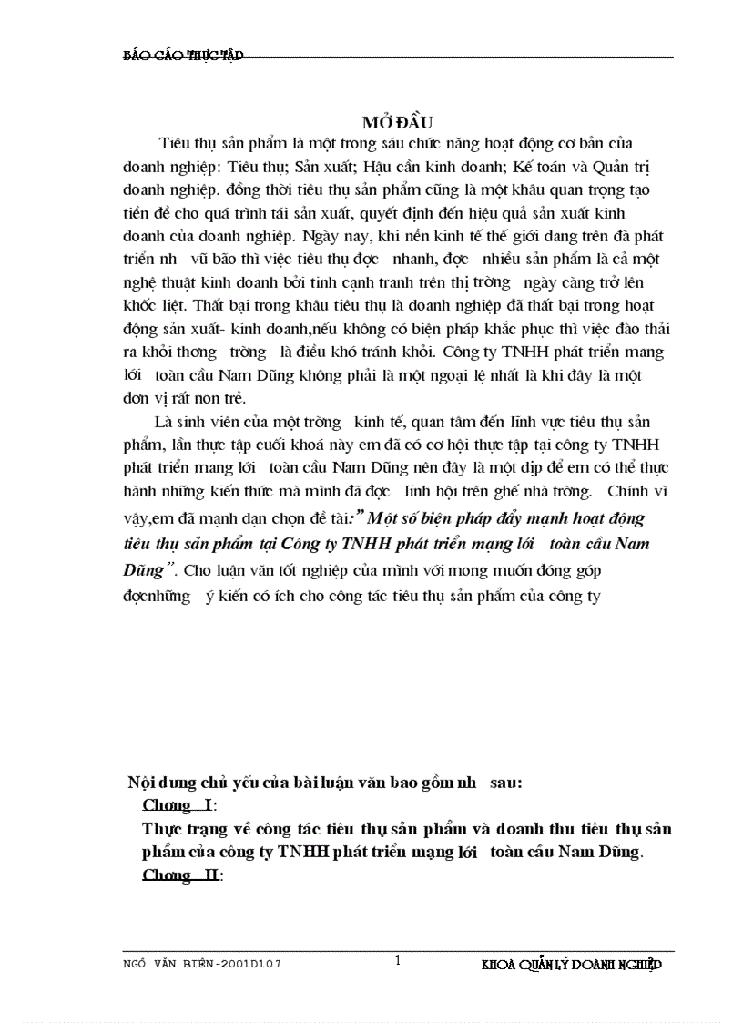 Một số biện pháp đẩy mạnh hoạt động tiêu thụ sản phẩm tại Công ty TNHH phát triển mạng lưới toàn cầu Nam Dũng