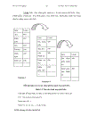 Nghiên cứu datamining trong Microsoft sever 2005