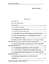 Giải pháp nâng cao chất lượng tín dụng đối với các DNNN tại Ngân hàng công thương Sông Nhuệ chi nhánh tỉnh Hà Tây