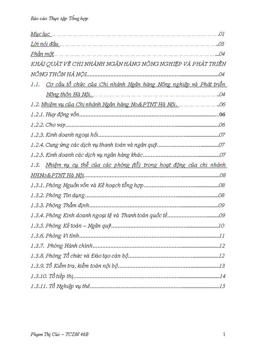 Báo cáo thực tập tổng hợp tại Chi nhánh ngân hàng NHNo PTNT AgriBank Hà Nội