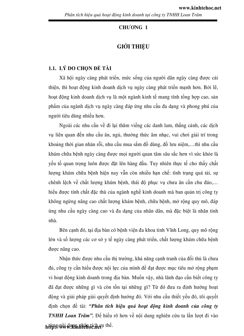 Phân tích hiệu quả hoạt động kinh doanh tại công ty TNHH Loan Trâm