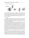 Hệ thống phát thiện xâm nhập trái phép tên mạng NIDS