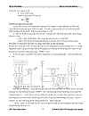 Bảo vệ trạm biến áp 35 6kV