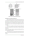 Nén ảnh sử dụng biến đổi WAVELET và ứng dụng trong các dịch vụ dữ liệu đa phương tiện di động