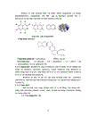 So sánh 2 phương pháp định lượng Berberin nguyên liệu bằng HPLC theo dược điển Trung Quốc 2005 và