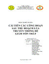 Cải Tiến Các Công Đoạn Sau Thu Hoạch Lúa Truyền Thống Để Giảm Tổn Thất