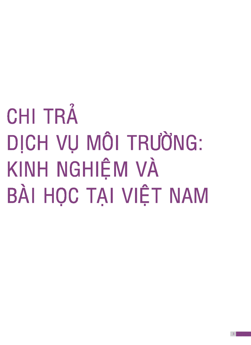 Chi trả dịch vụ môi trường Kinh nghiệm và Bài học tại Việt Nam