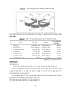 Chiến lược kinh doanh của công ty cổ phần Kinh Đô đến năm 2015