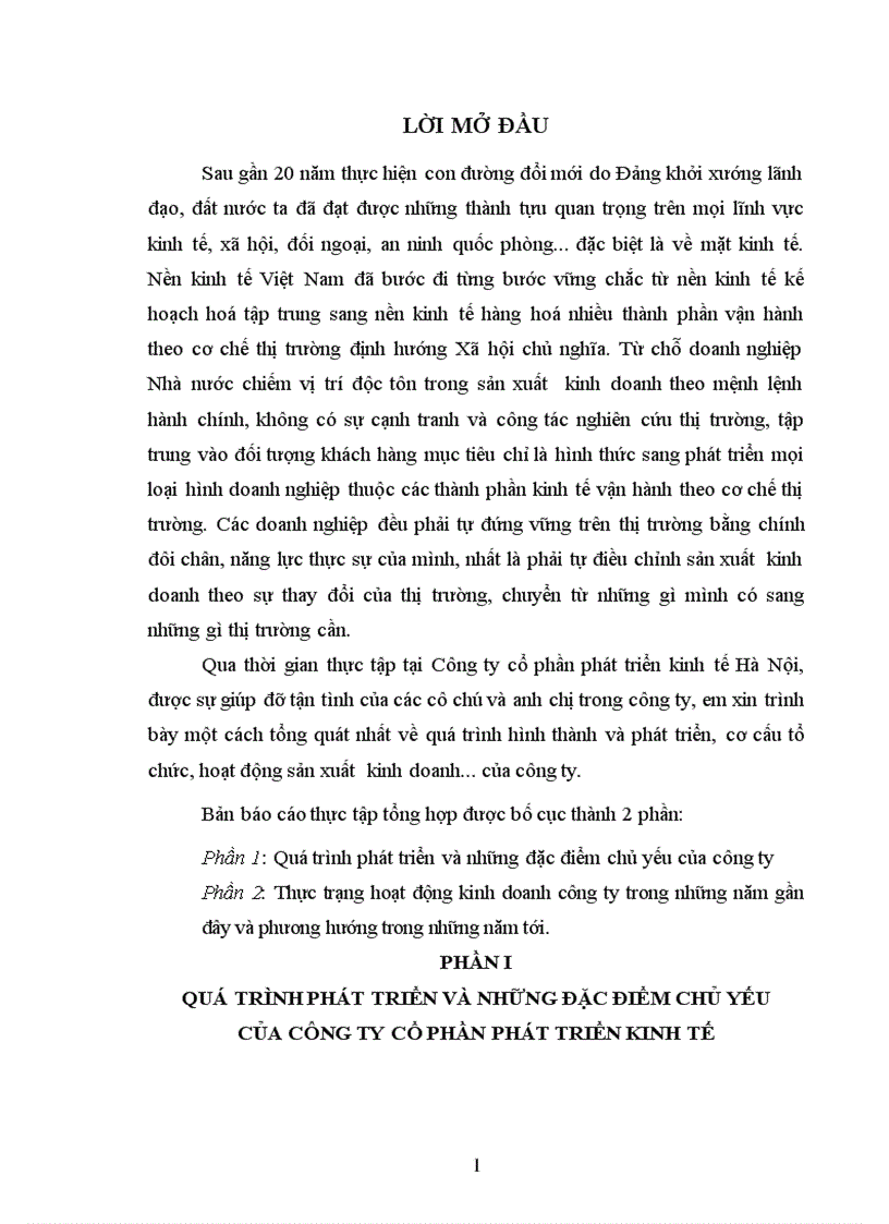 Thực trạng hoạt động kinh doanh Công ty cổ phần phát triển kinh tế Hà Nội