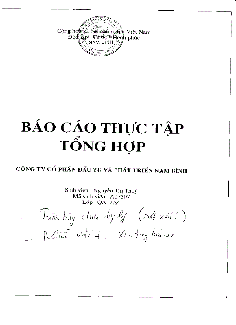 Báo cáo thực tập tại công ty cổ phần đầu tư và phát triển Nam Bình