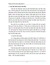 Phỏng vấn trên Báo mạng điện tử