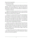 Phỏng vấn trên Báo mạng điện tử