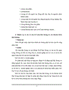 Tổ chức lao động tiền lương các khoản trích theo lương và việc khuyến khích tăng năng xuất lao động trong các doanh nghiệp