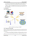 Nghiên cứu công nghệ WiMAX và ứng dụng ở Việt Nam