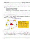 Công ty TNHH hai thành viên trở lên