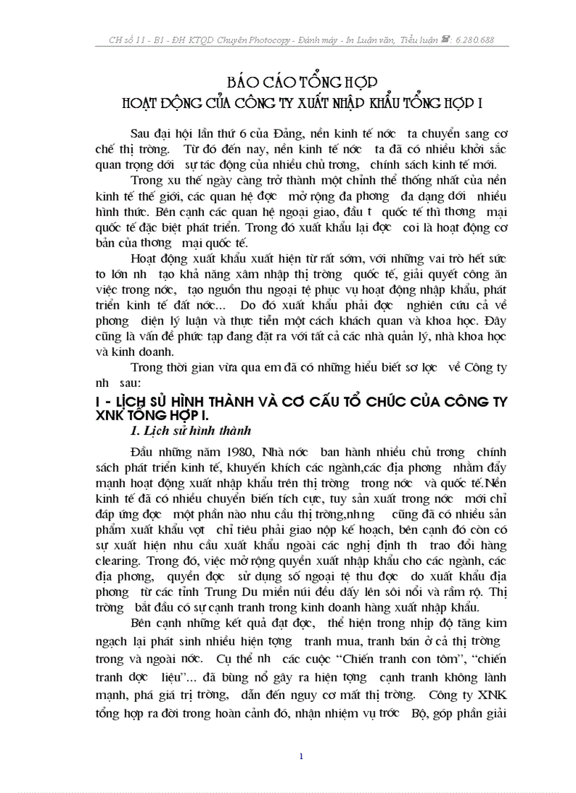 Báo cáo tổng hợp hoạt động của công ty xuất nhập khẩu tổng hợp I