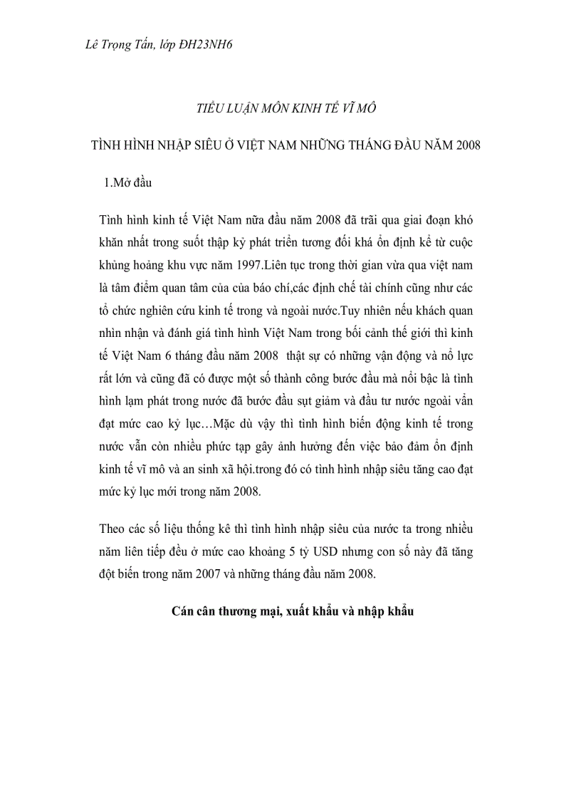 Tình hình nhập siêu ở Việt Nam trong những tháng đầu năm 2008
