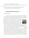 Hãy vận dụng lý luận về ngoại ứng để phân tích tổn thất phúc lợi xã hội do VEDAN gây ra và đưa ra giải pháp can thiệp của chính phủ nhằm xử lý ngoại ứng này