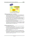 MVC Architecture Struts Framework In Java J2EE