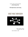 Độc học benzen