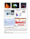 Tiểu luận môn Hóa Tin Các tài nguyên Multimedia trong Hoá học