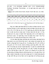 Một số giải pháp nhằm phát triển hoạt động thanh toán thẻ tại các ngân hàng thương mại Việt Nam