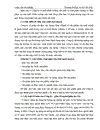 Những giải pháp chủ yếu góp phần tạo lập vốn kinh doanh tại công ty cổ phần vật liệu Châu Thành
