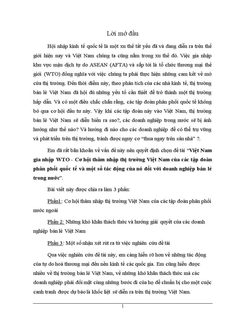VN gia nhập WTO Cơ hội thâm nhập thị trường Việt Nam của các tập đoàn bán lẻ quốc tế và một số tác động của nó đối với doanh nghiệp trong nước