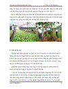 Bien doi khi hau tinh binh thuan