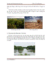 Bien doi khi hau tinh binh thuan