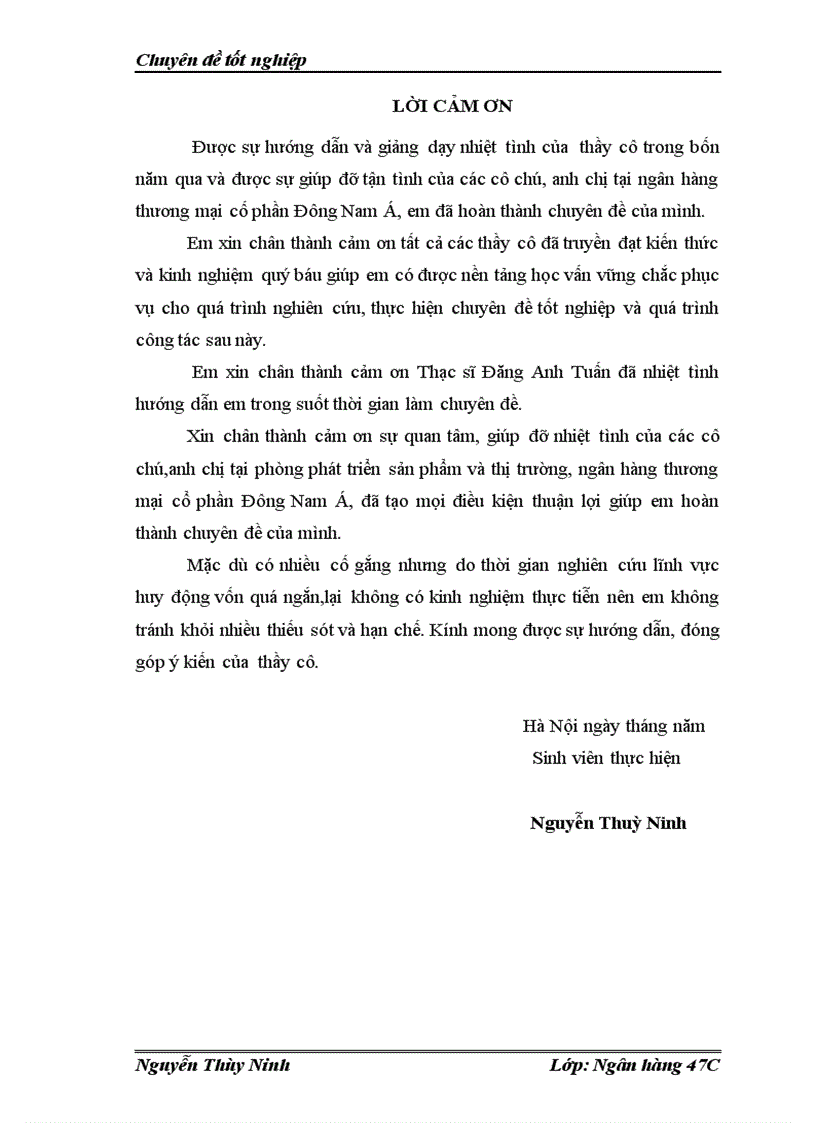Giải pháp nâng cao hiệu quả huy động vốn tại ngân hàng thương mại cổ phần Đông Nam Á