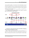 Nokia Chuỗi cung ứng xanh