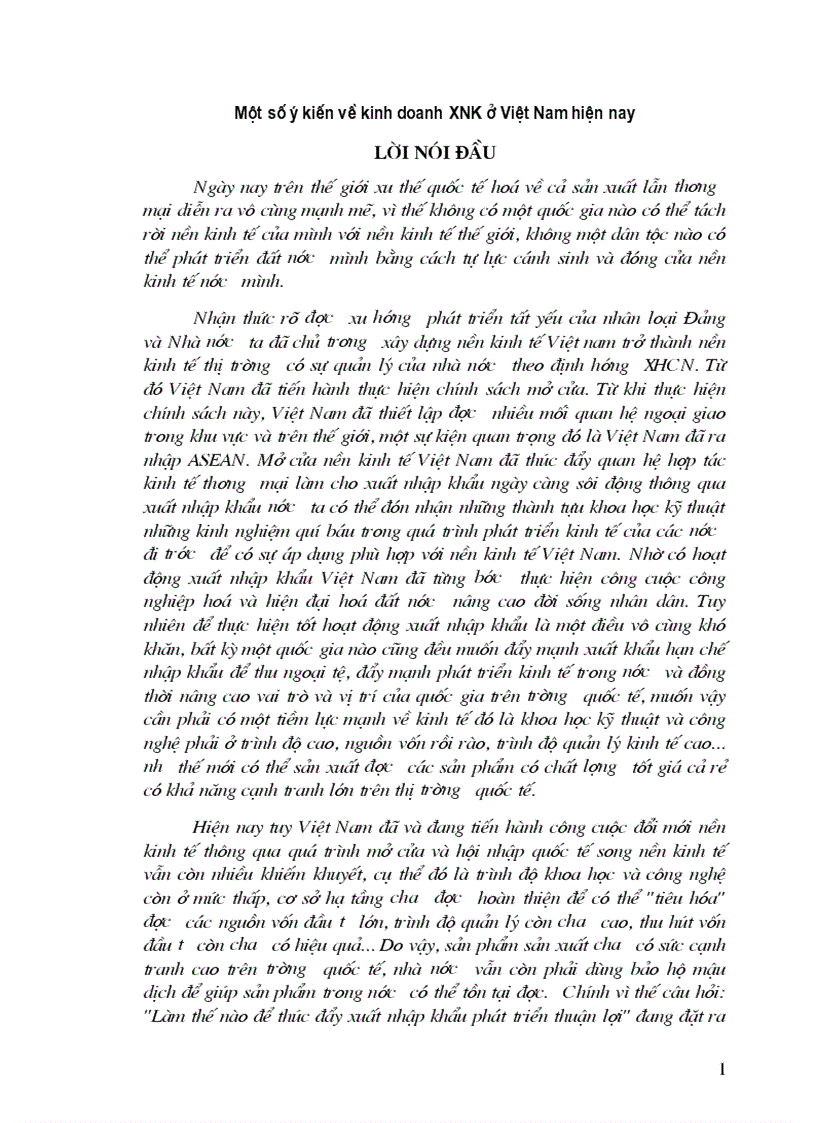 Đề tài Một số ý kiến về kinh doanh XNK ở Việt Nam hiện nay