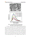 Nghiên cứu chế tạo và một số tính chất quang của vật liệu nano bột và màng ZnS Ni
