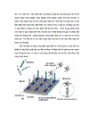 Công nghệ Spintronics