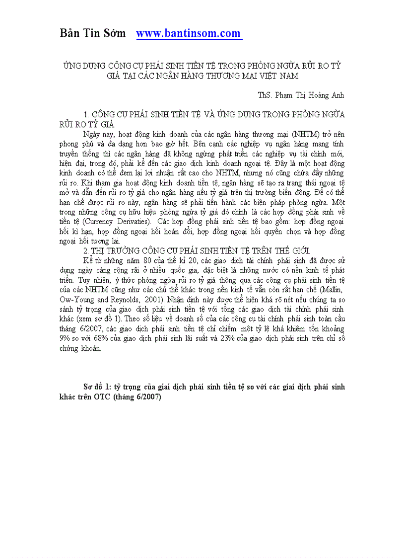 Ứng dụng công cụ phái sinh tiền tệ trong phòng ngừa rủi ro tỷ giá tại các ngân hàng thương mại việt nam