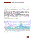 Đề tài Phân tích các phương pháp tính chỉ số giá Liên hệ thực tiễn Việt Nam Bình luận về diễn biến giá chứng khoán trên sàn giao dịch TPHCM trong thời gian qua