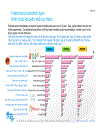 Social marketing việt nam report