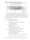 Công nghệ w cdma