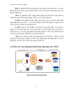 Kỹ thuật Wavelet trong ADSL