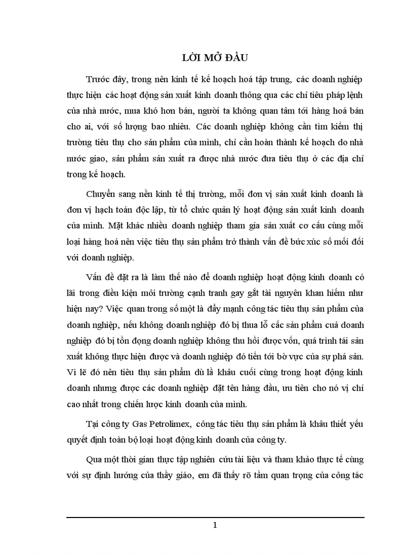 Một số vấn đề về Hoạt động tiêu thụ sản phẩm của công ty Gas Petrolimex