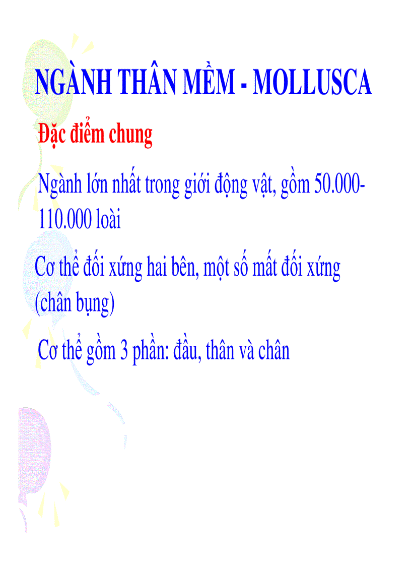 Ngành thân mêm mollusca