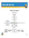 Requirement Engineering