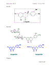 Chiết xuất polyphenol từ vỏ cam dưới sự hỗ trợ của sóng siêu âm