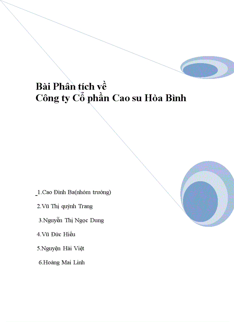 Phân tích tình hình tài chính công ty cổ phần cao su Hòa Bình