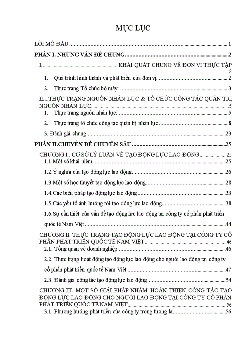 Tạo động lực lao động cho người lao động tại công ty cổ phần phát triển quốc tế Nam Việt Thực trạng và giải pháp