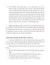 Phân tích thực trạng xuất nhập khẩu rau quả tại VN năm 2009 và hướng phát triển