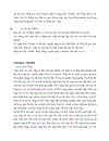Giải pháp để phát triển cụm Cảng một cách khả thi và hiêu quả phù hợp với chính sách phát triển hệ thống cảng đến năm 2010 của Chính phủ